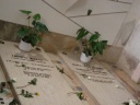 grave of Maria Lucia.jpg